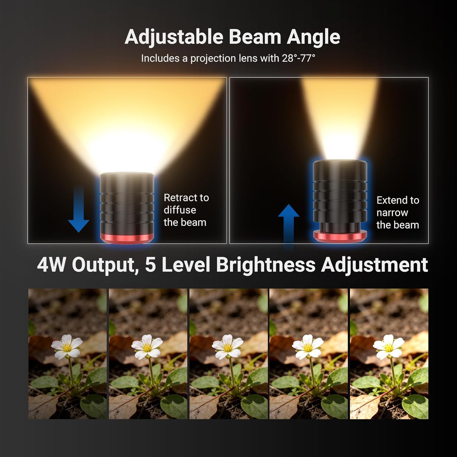 مصباح LED من NEEWER BASICS طرا - مراجعة Photography Lighting Basics وسعره